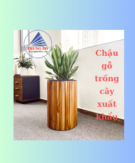 Chậu gỗ trồng cây xuất khẩu Top Choice