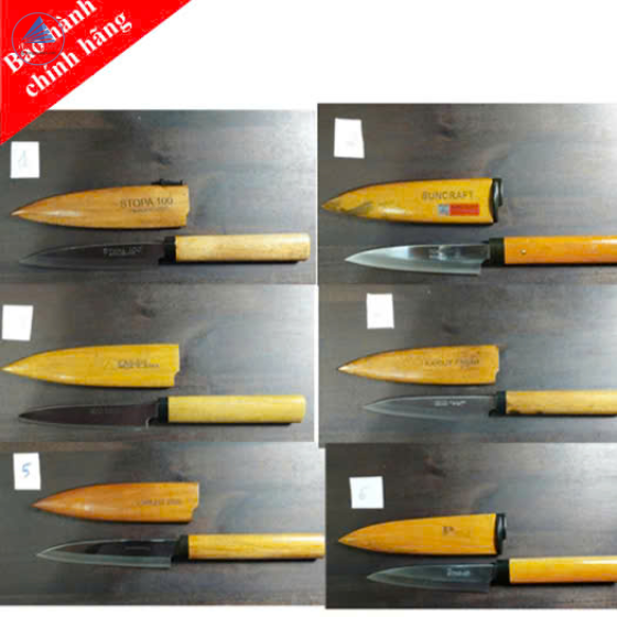Dao Gọt Trái Cây 21cm – Lưỡi Siêu Bén, Nhỏ Gọn Tiện Lợi, Cao Cấp